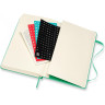 Еженедельник MOLESKINE CLASSIC WKNT LARGE (мятный) DHK4612WN3